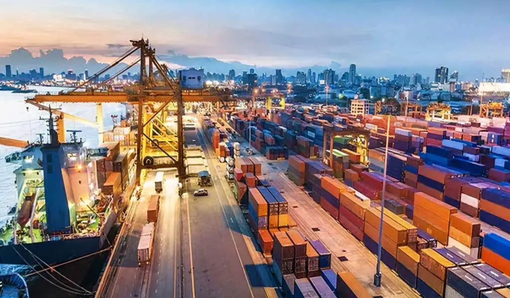 <b> ترخیص ۱۸۷ هزار تن نهاده دامی از بندر امام خمینی</b> 1 ترخیص نهاده دامی از بندر امام خمینی