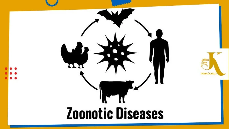 بیماری های مشترک بین انسان و حیوان زئونوز