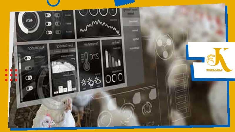 Smart Poultry Farming: The Role of AI in the Poultry Industry 2 رفاه طیو با هوش مصنوعی