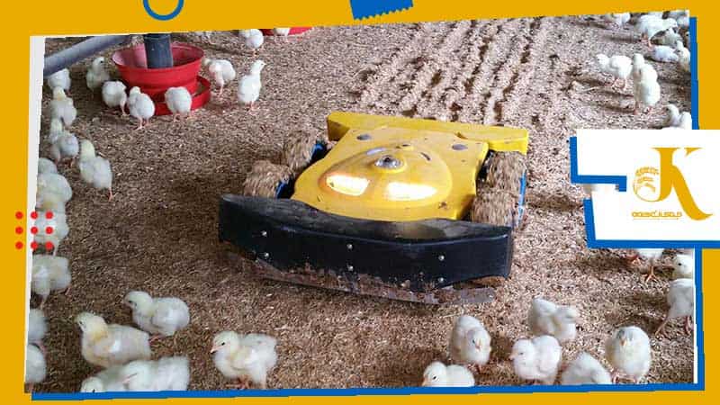 Smart Poultry Farming: The Role of AI in the Poultry Industry 5 هوش مصنوعی در پرورش مرغ
