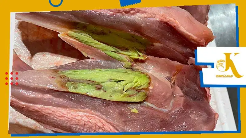 عوامل ایجاد کننده بیماری عضله سبز در طیور